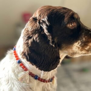 replace the collar on the 202606101506