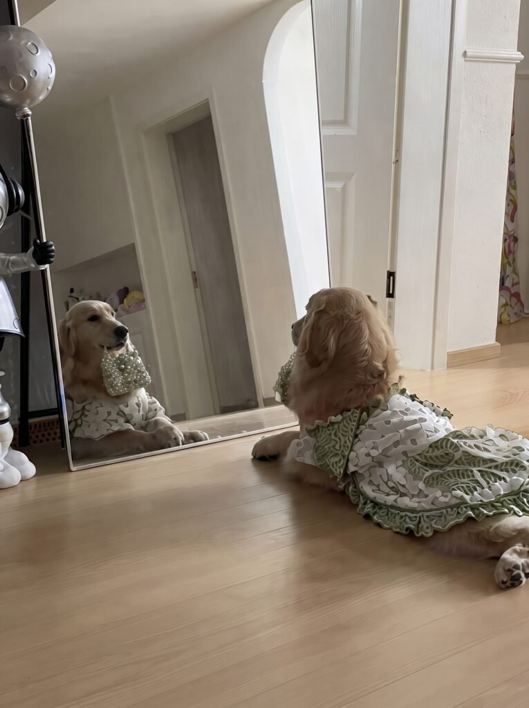 bella in mirror